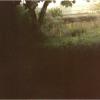 The backyard of her house -- my SLR camera was you can see
The train tracks are elevated