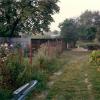 A nice view of the backyard with all of those flowers and roses there