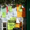 Signs posted on a street