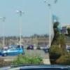 Topiary - I am not sure of what - seen from a bus.